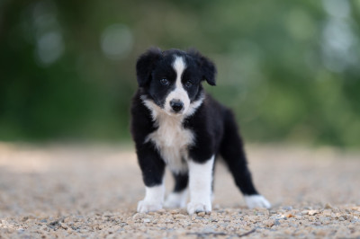 Another Perfection Ava Of Xemiris